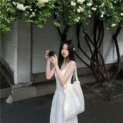 红狐